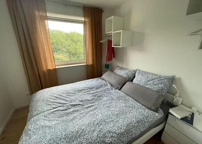 Watt-s-up-24 * سانكت بيتر اوردنغ